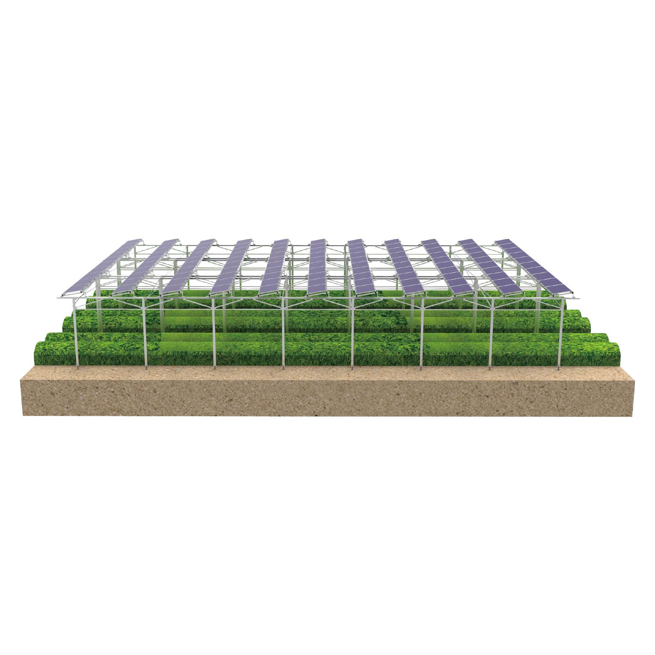 Solar Agrivoltaic Farm